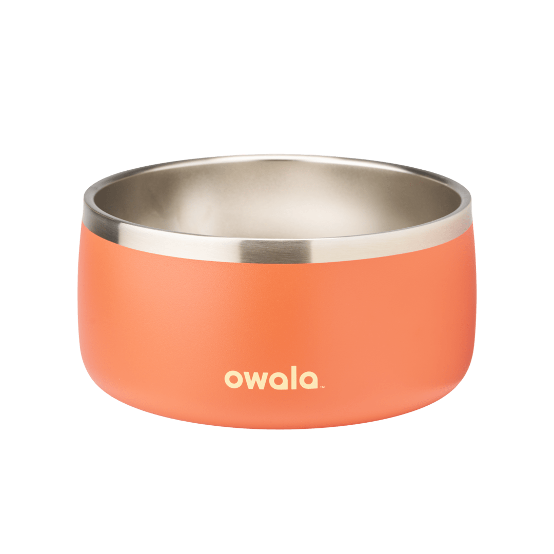 Pet Bowl 2Y6T