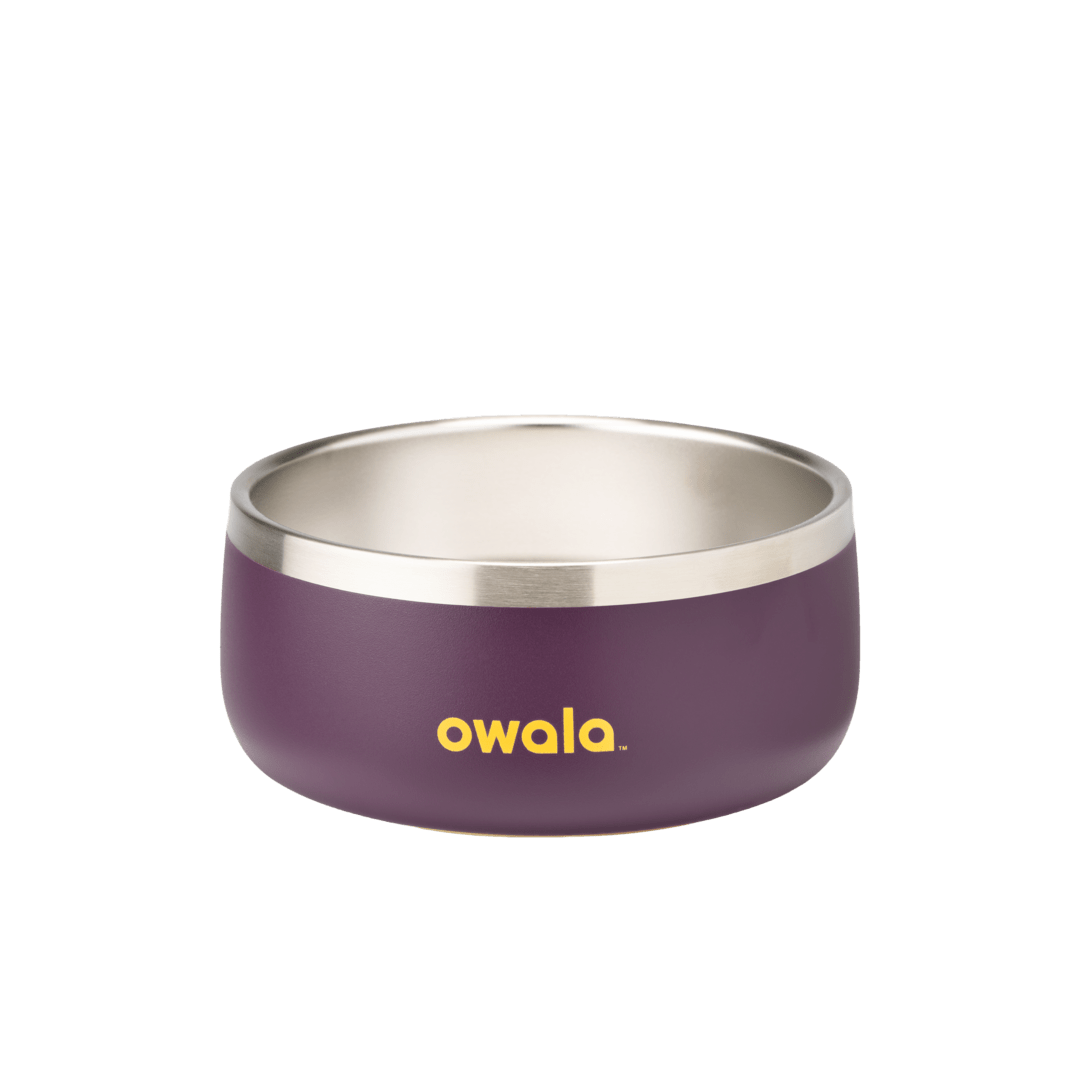 Pet Bowl 2Y6T