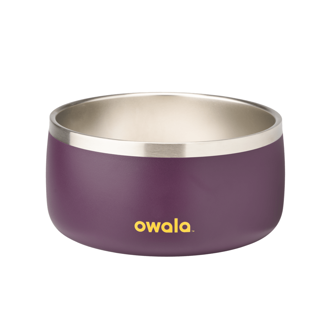 Pet Bowl 2Y6T