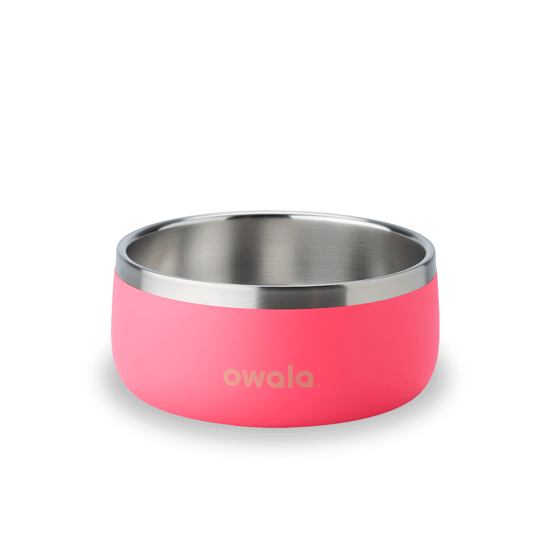 Pet Bowl (S5ETZ)