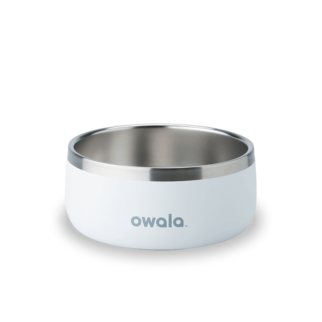 Pet Bowl 2Y6T