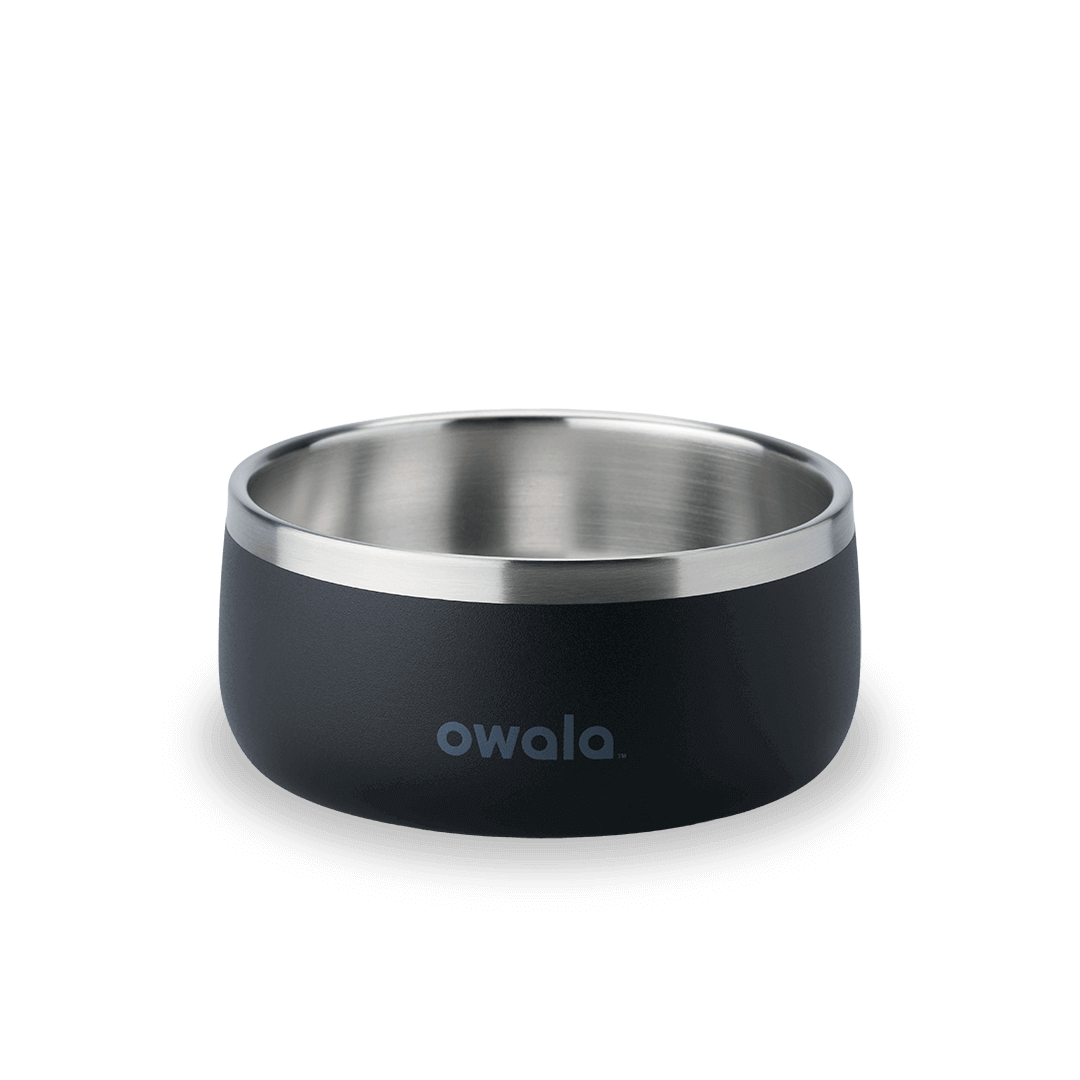 Pet Bowl 2Y6T